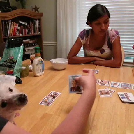 Tina collects a poodle's head.