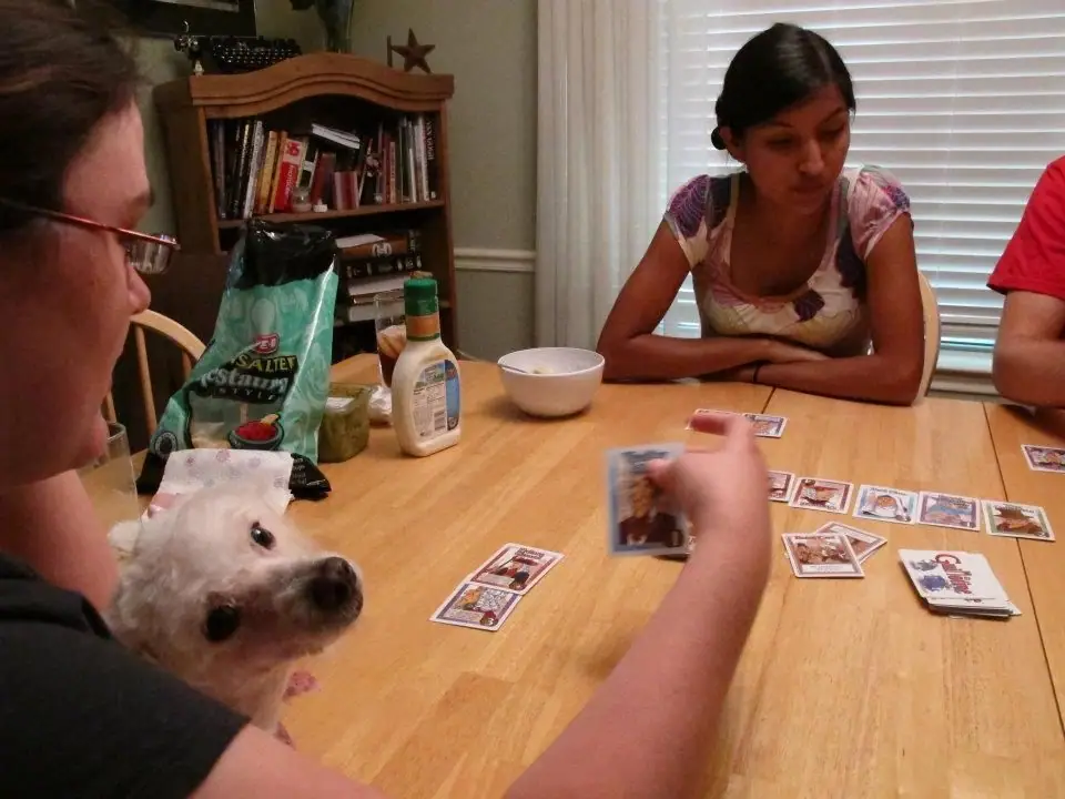 Tina collects a poodle's head.