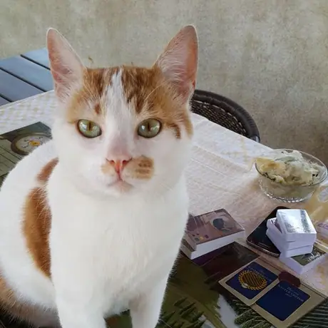 Can i play? Oh pretty please.