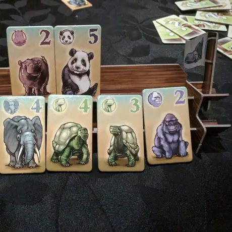 The Cute Animals on my first Ark
