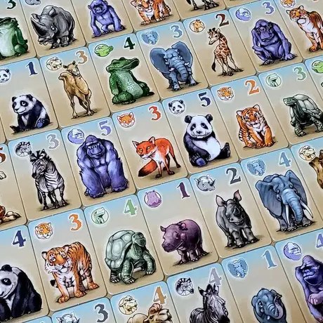 animal cards