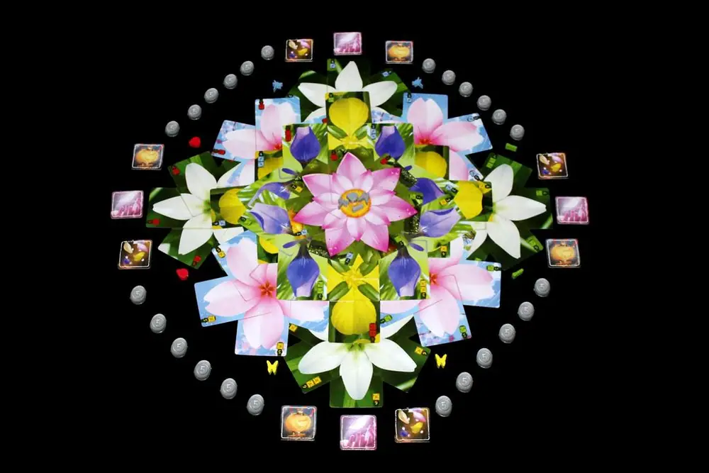 Lotus petal cards + components