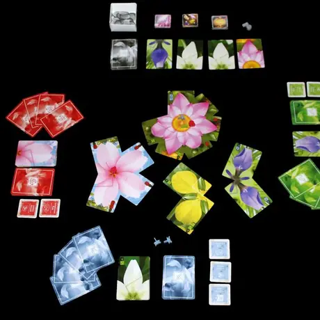 Lotus game in progress