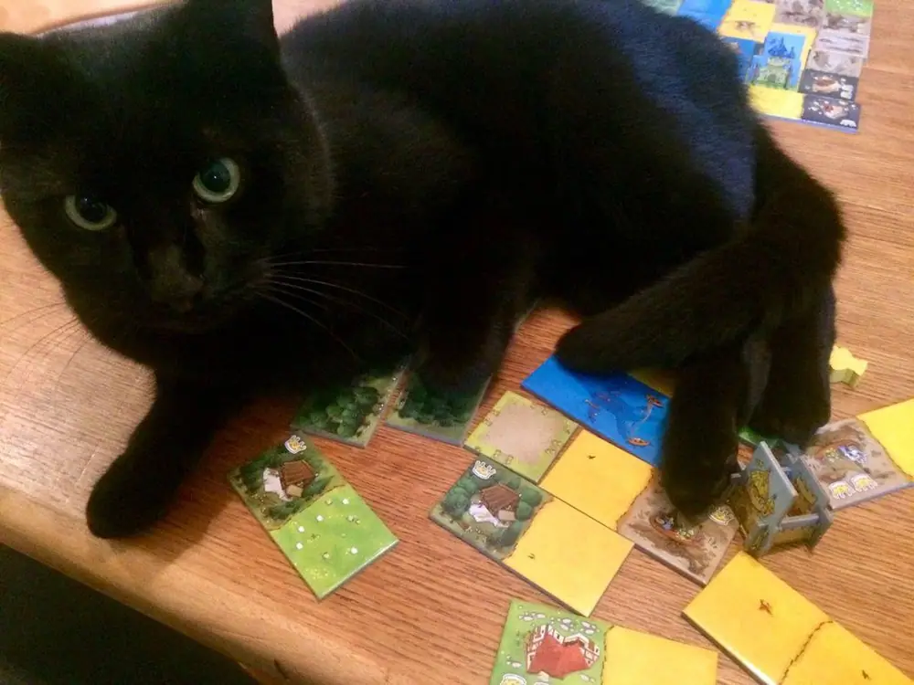 My Kingdom gets invaded