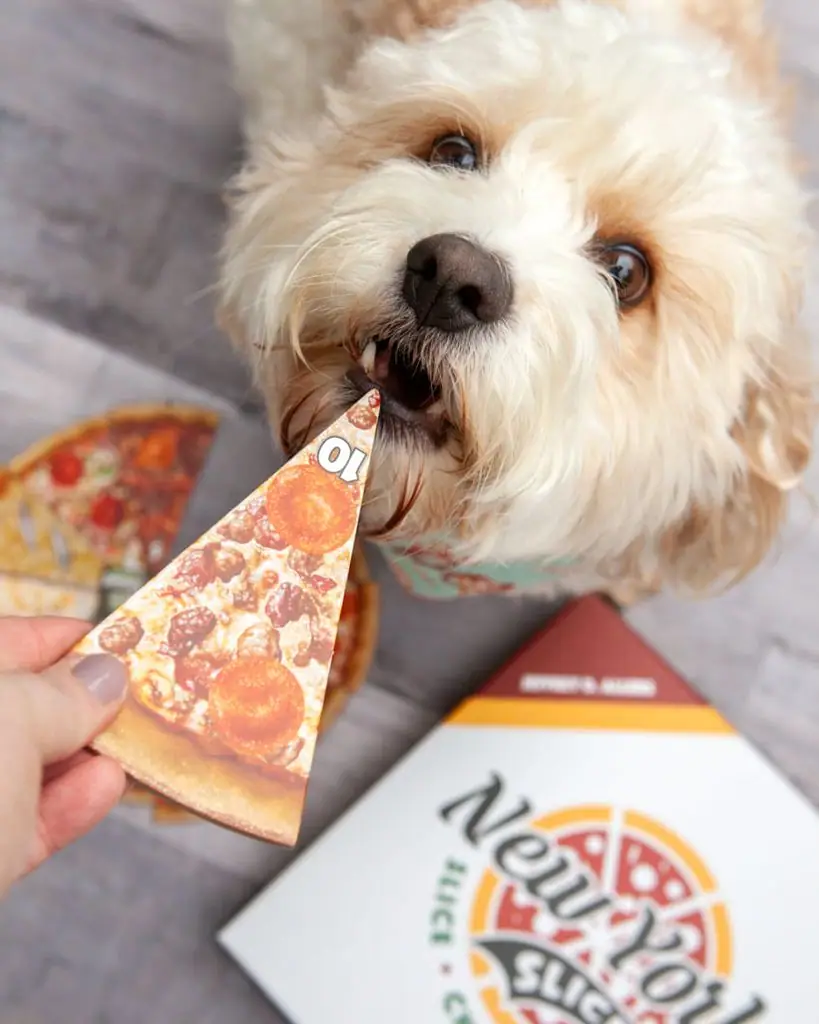 Happy National Pizza Day!