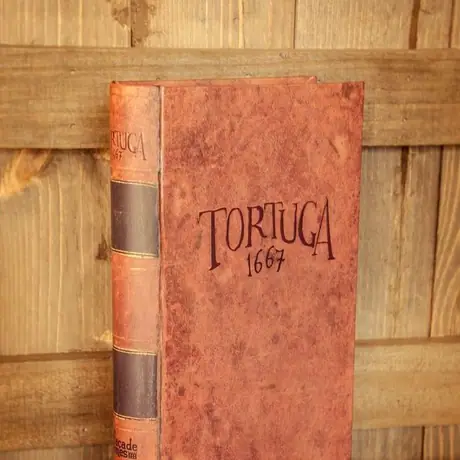 The faux book box