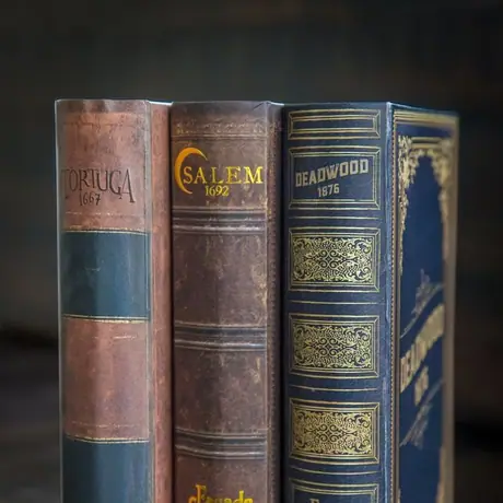 The Dark Cities Series. Deadwood 1876 is Volume 3. Each is a standalone game.