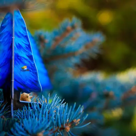 A pine on a pine