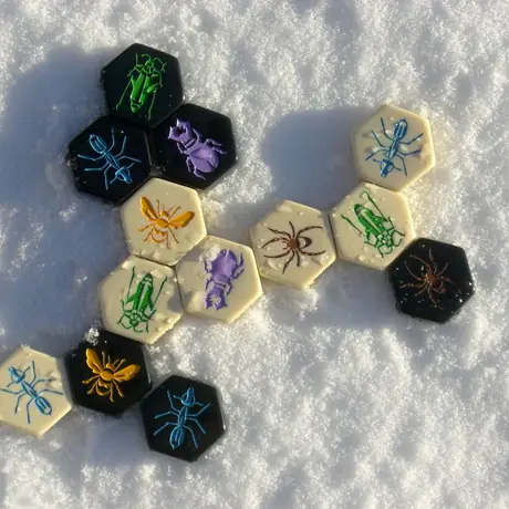 Hive in the snow (what a cool game).