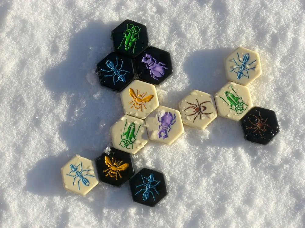 Hive in the snow (what a cool game).