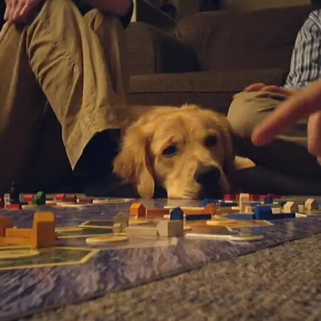 I wanna play too!