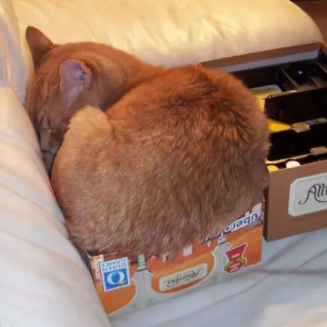 A tight fit