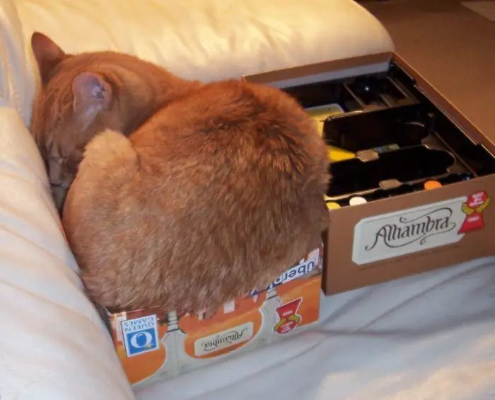 A tight fit