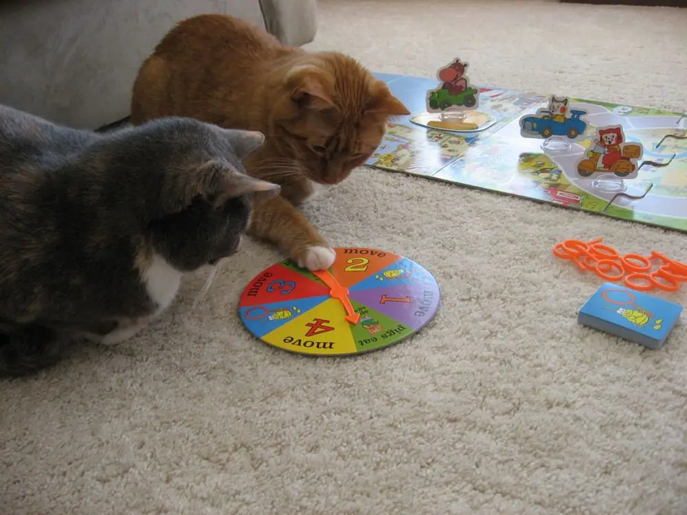 Scooter spinning.  Daisy awaiting her turn.  I'm the hippo character.  Scooter and Daisy are the two cat characters on the board, naturally.