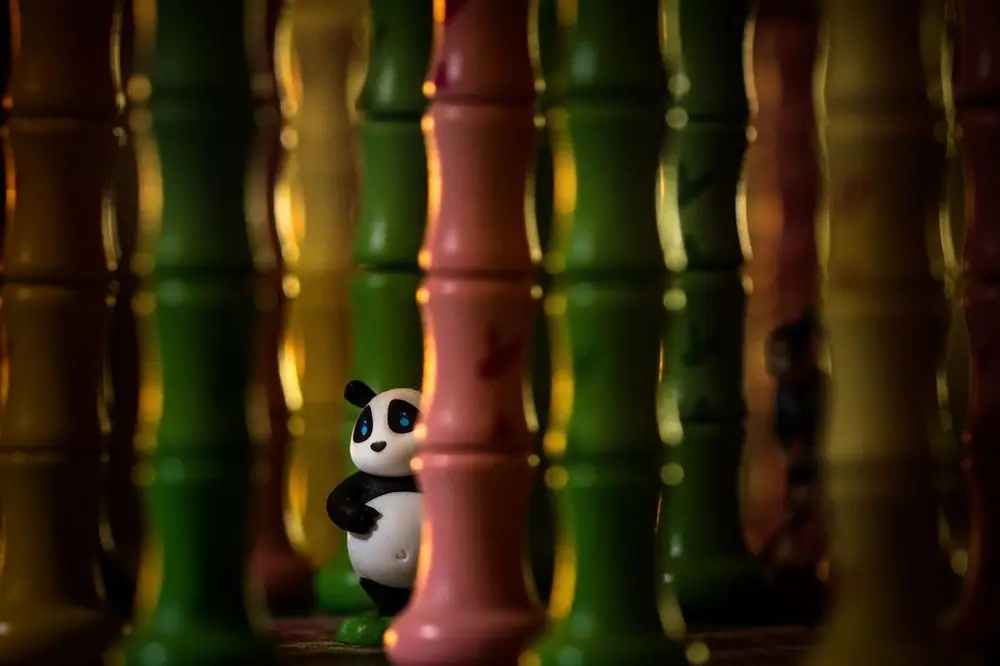 Hide and Seek in the Bamboo Forest