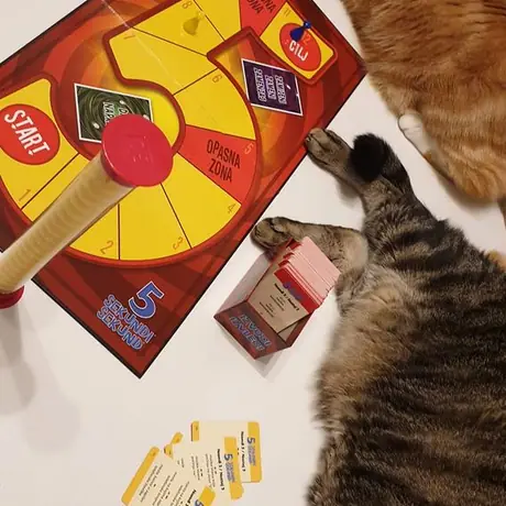 The cats always win :P